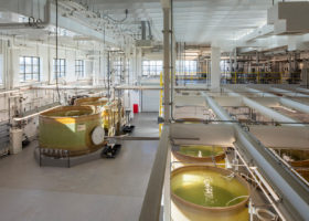 Egg Hatching
Once the oysters spawn, they are placed into one of two 5,000 gallon egg hatchings tanks (on left). The fertilized eggs will hatch over the next several days.
