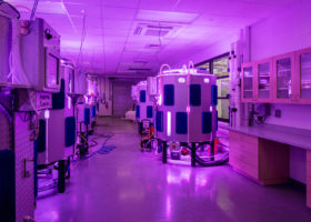 Algae Photobioreactors
Industrial Plankton Photobioreactors are our primary source of algal production for the facility. These high-tech systems give us the capability to continuously produce high density algae in a sterile environment.